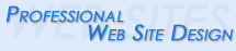Professional Web Designers